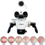 Global Microscope | Amidentis