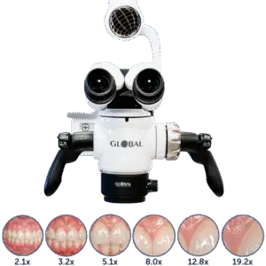 Global Microscope | Amidentis